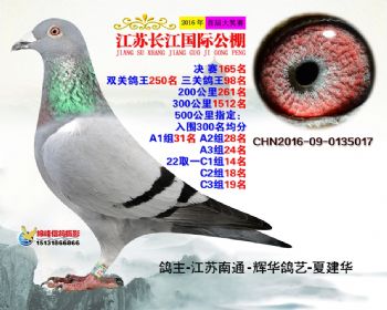 江苏长江决赛165名