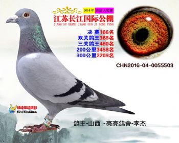 江苏长江决赛166名