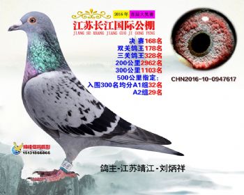 江苏长江决赛168名