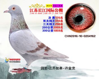 江苏长江决赛170名