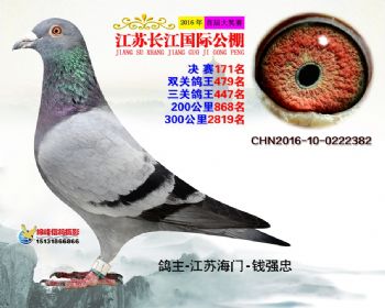 江苏长江决赛171名