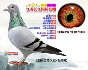 江苏长江决赛173名