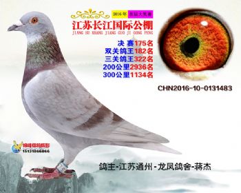 江苏长江决赛175名