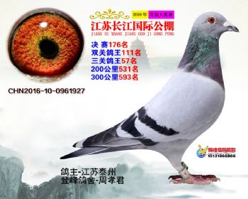 江苏长江决赛176名