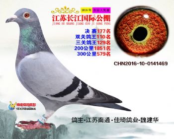 江苏长江决赛177名