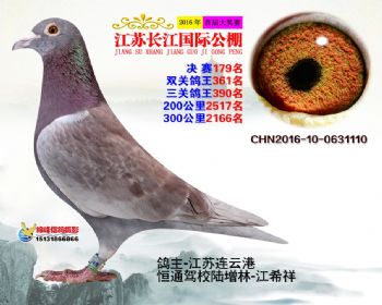 江苏长江决赛179名