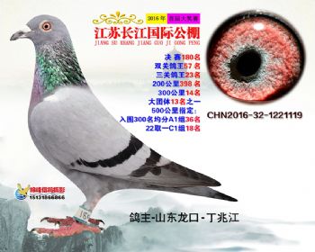 江苏长江决赛180名