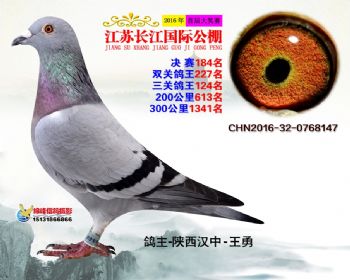 江苏长江决赛184名