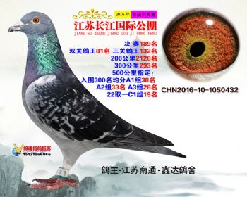 江苏长江决赛189名