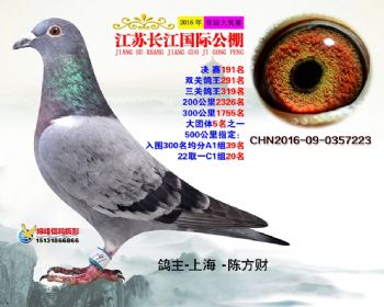 江苏长江决赛191名