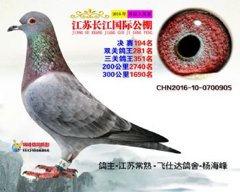 江苏长江决赛194名
