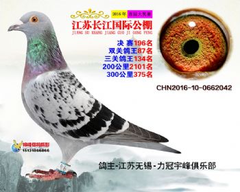 江苏长江决赛196名