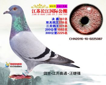 江苏长江决赛197名