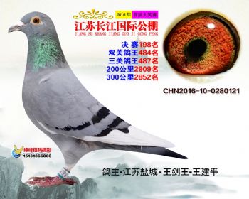 江苏长江决赛198名