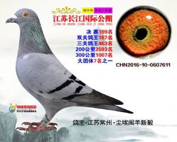 江苏长江决赛199名