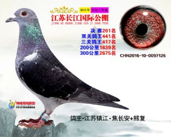 江苏长江决赛201名