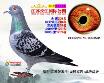 江苏长江决赛205名
