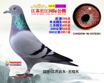 江苏长江决赛206名