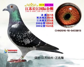 江苏长江决赛207名