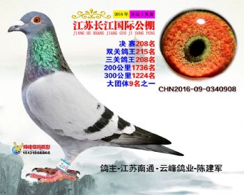 江苏长江决赛208名