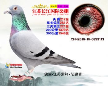 江苏长江决赛212名
