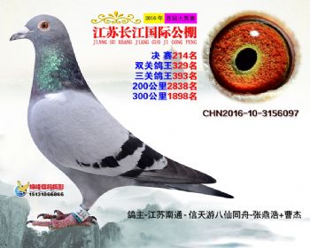 江苏长江决赛214名