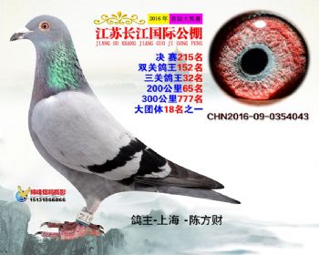 江苏长江决赛215名