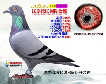 江苏长江决赛216名