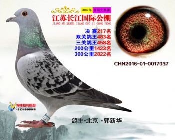 江苏长江决赛217名