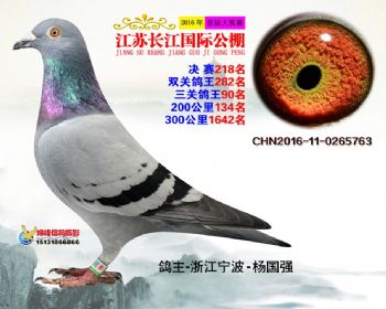江苏长江决赛218名