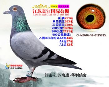 江苏长江决赛221名