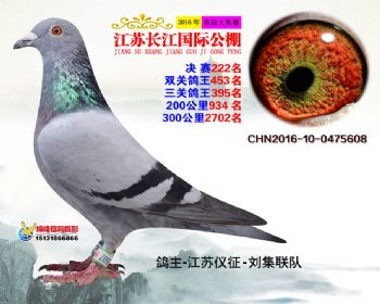 江苏长江决赛222名