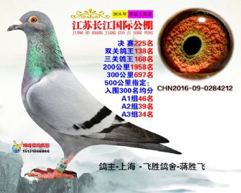 江苏长江决赛225名