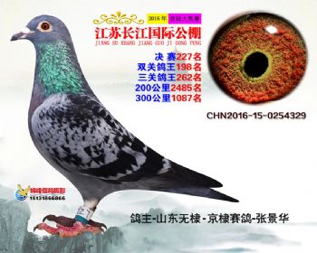 江苏长江决赛227名