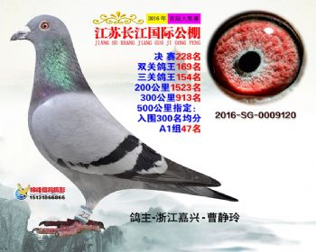 江苏长江决赛228名