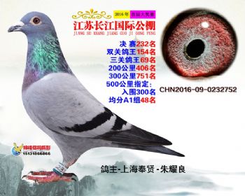 江苏长江决赛232名