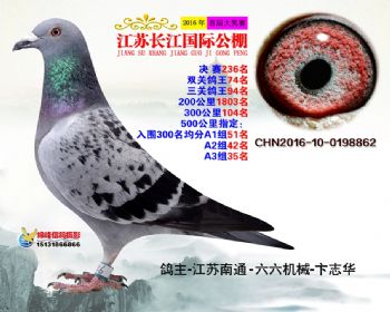江苏长江决赛236名