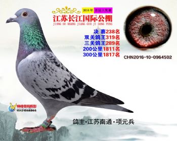 江苏长江决赛238名