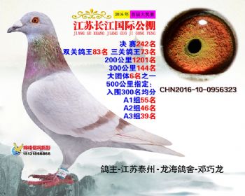 江苏长江决赛242名