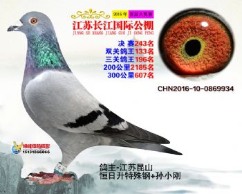 江苏长江决赛243名