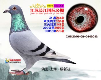 江苏长江决赛244名