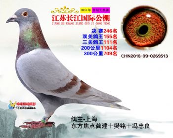 江苏长江决赛246名