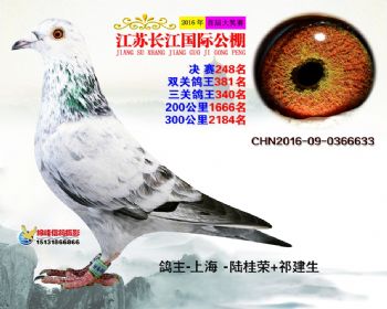 江苏长江决赛248名