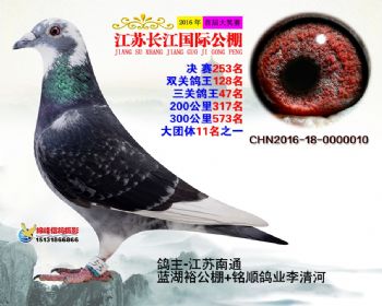 江苏长江决赛253名