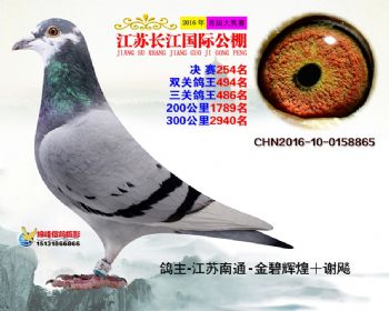 江苏长江决赛254名