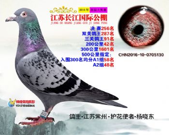 江苏长江决赛256名
