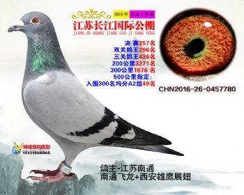 江苏长江决赛257名