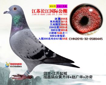 江苏长江决赛258名