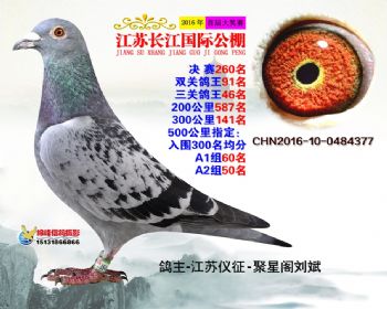 江苏长江决赛260名