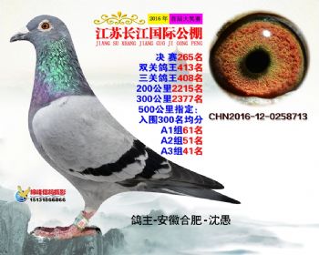 江苏长江决赛265名